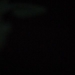 Meet your Posher, Chassity